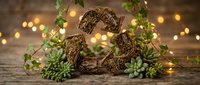 Rustic wicker number 25 anniversary decoration with succulents and fairy lights on wooden background for celebration and milestone events.