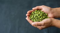 Person holding handful of green pumpkin seeds in cupped hands against dark background. Suitable for nutrition, health, organic food, and wellness content.