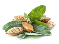 Fresh almond nuts with green sage leaves on white background, natural organic food ingredients for healthy eating and cooking.