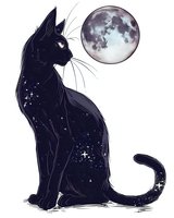 Mystical black cat silhouette with starry pattern fur gazing at full moon against white background. Magical fantasy art style illustration for decoration.