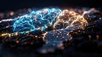 Digital brain with glowing neural networks and synaptic connections representing artificial intelligence, machine learning and cognitive computing technology.