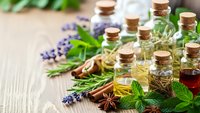 Essential oils in glass bottles with cork stoppers, fresh herbs, lavender, mint, rosemary, cinnamon sticks and star anise on wooden background for aromatherapy.