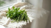 Fresh green herbs bundle with basil rosemary and thyme on white linen fabric by window. Natural organic cooking ingredients for culinary recipes and healthy meals.