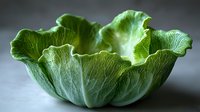 Fresh green iceberg lettuce leaf forming natural bowl shape on dark background, dramatic lighting highlights veined texture and organic curves.