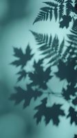 Fern and maple leaf shadows cast on soft teal wall, creating natural botanical silhouettes for design, backgrounds, and nature-themed projects.