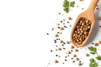 Wooden spoon filled with whole coriander seeds scattered on white background with fresh cilantro leaves, culinary composition with copy space.