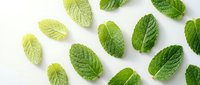Fresh green mint leaves scattered on white background, isolated herb pattern for culinary design, natural aromatherapy and cooking ingredients.