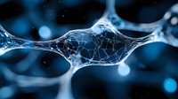 Microscopic view of neural network connections with glowing blue synapses and interconnected nodes showing brain cell communication in scientific visualization.