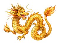 Golden dragon with flowing mane and scaled body, isolated on white background. Suitable for design projects, merchandise, and decorative applications.