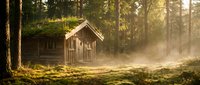 Wooden cabin nestled in misty forest clearing at sunrise, surrounded by tall pine trees with golden sunlight filtering through fog and moss-covered ground.