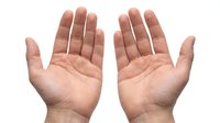 Two open hands with palms facing up in receiving gesture isolated on white background for design and presentation use.