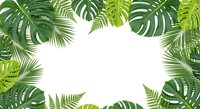 Tropical jungle frame with lush green palm leaves, monstera and fern foliage creating natural border on white background for summer design projects.