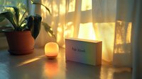 Cozy evening scene with rainbow pride month box, glowing candle and houseplant on windowsill casting soft shadows through sheer curtains at sunset.