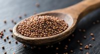Coriander seeds in wooden spoon on dark slate surface. Aromatic spice ingredient for cooking, seasoning and culinary preparations in kitchen.