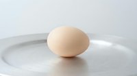Single fresh brown chicken egg on white ceramic plate against clean white background for cooking and breakfast concepts.