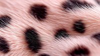 Pink and black spotted animal fur texture in macro photography showing detailed pattern of soft fluffy coat with dark markings. Great for fashion and design.