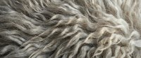Natural beige wool fibers texture with twisted strands creating organic patterns for textile and craft projects.