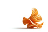 Orange farfalle pasta on white background, single piece with elegant curves and folds creating dramatic shadows, isolated for culinary and food design projects.