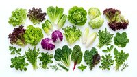 Fresh organic leafy greens and salad vegetables collection isolated on white background for healthy eating and cooking recipes.
