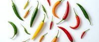 Colorful hot chili peppers scattered on white background. Fresh spicy vegetables in red, green, yellow and orange colors for cooking and seasoning.