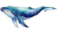 Watercolor blue whale illustration isolated on white background for marine life designs, educational materials, and ocean-themed projects.