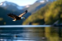 Majestic bald eagle soaring low over calm mountain lake water, wings spread wide against blurred forest and snow-capped peaks in golden evening light.