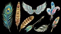 Feather collection featuring peacock, angel wings, and decorative plumes in watercolor style. Isolated on transparent background, ready for t-shirt design, clipart, stickers, sublimation, and print-on-demand projects.