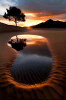 Dramatic sunset over desert sand dunes with lone tree silhouette reflected in natural water pool, mountain backdrop and vibrant orange sky creates serene landscape.