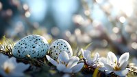 Speckled blue bird eggs nestled among delicate white spring blossoms against soft bokeh background, creating natural Easter or springtime composition.