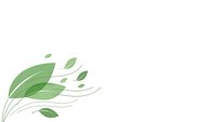 Green leaves flowing in wind motion on white background isolated for eco-friendly design projects and natural branding materials.