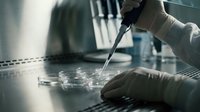 Laboratory scientist in protective gloves using pipette for precise sample analysis in sterile research environment for medical testing and development.