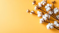Cotton plant branches with fluffy white bolls on warm yellow background for natural textile and organic farming concepts.