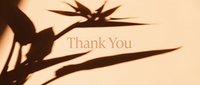 Thank you text on warm beige background with elegant tropical leaf shadows, creating a soft, minimal aesthetic for greeting cards and social media.
