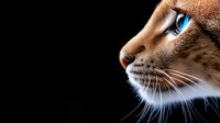 Side profile of brown cat with striking blue eyes and white whiskers against dark background, dramatic lighting highlights feline features and facial contours.