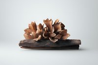 Delicate ceramic flower sculpture in earthy brown tones resting on dark wooden base against neutral background, showcasing organic form and textural detail.