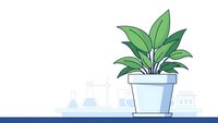 Green houseplant in white pot on shelf with laboratory glassware background for scientific research and botanical study concepts.