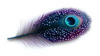 Mystical peacock feather with cosmic galaxy effect and sparkling stars against white background, isolated decorative element for creative projects.