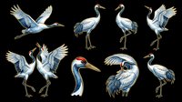 Watercolor crane birds in various poses isolated on transparent background, ready for t-shirt design, clipart, stickers, sublimation and print-on-demand projects.