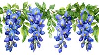 Watercolor wisteria flowers in bright blue with green leaves on white background, botanical illustration style border arrangement for decorative use.