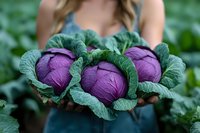 Woman holding fresh purple cabbage heads with green leaves in garden, showcasing organic harvest from sustainable farming.