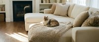 Cozy living room interior with tabby cat relaxing on beige sectional sofa near fireplace. Warm natural lighting creates peaceful home atmosphere.