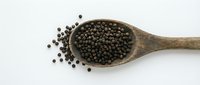 Black peppercorns in rustic wooden spoon on white background. Whole dried pepper seeds spilling from vintage kitchen utensil for cooking and seasoning.