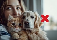 Young woman embracing ginger cat and golden retriever dog at home, showing loving bond between pets and owner. Natural window light creates cozy atmosphere.