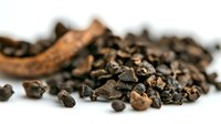 Crushed cocoa nibs and cacao beans scattered on white background for chocolate making and healthy superfood recipes.