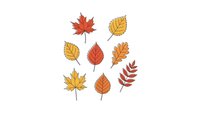 Colorful autumn leaves collection with maple, oak and birch foliage in orange, red and yellow colors isolated on white background for seasonal design.