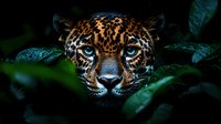 Intense close-up portrait of jaguar with piercing blue eyes emerging from dark jungle foliage, showing spotted fur pattern and fierce predator gaze in dramatic lighting.