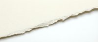 Torn paper edge with ragged texture separating cream and white sections, suitable for design overlays, backgrounds, and creative dividers.