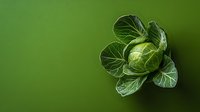 Fresh green cabbage head with layered leaves on vibrant green background for healthy cooking and nutrition concepts.