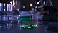 Laboratory scientist using pipette to analyze green algae sample in petri dish for biotechnology research and environmental science studies.
