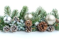 Silver ornaments and frosted pinecones arranged with succulent plants and evergreen branches create festive winter border on white background.